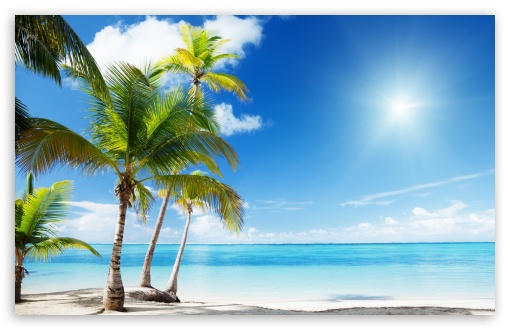 tropical_beach_paradise-t2-jpg